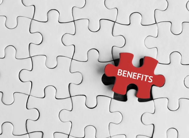 Red jigsaw puzzle piece with the word 'benefits'